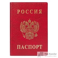 Обложка для паспорта ДПС из ПВХ красного цвета (2203.В-102)