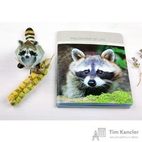 Тетрадь общая Be Smart Raccoon А5 48 листов в клетку на скрепке